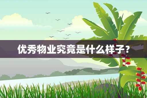 优秀物业究竟是什么样子？
