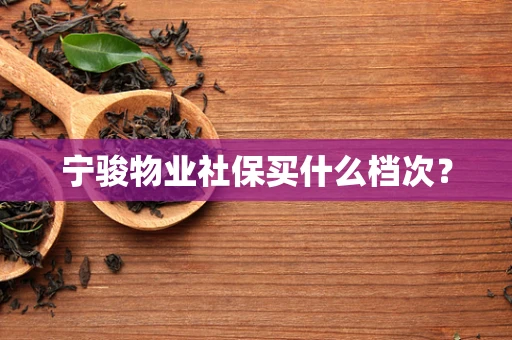 宁骏物业社保买什么档次？
