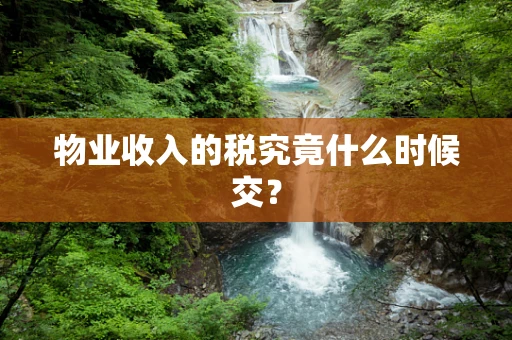 物业收入的税究竟什么时候交？