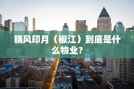 晓风印月（椒江）到底是什么物业？
