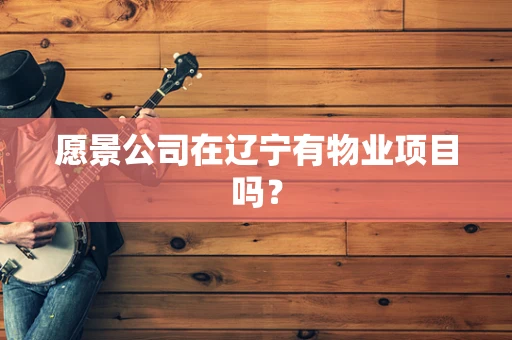 愿景公司在辽宁有物业项目吗？