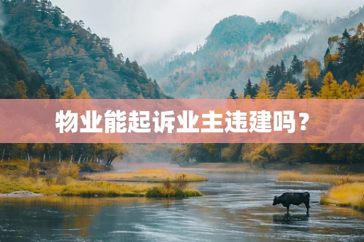 物业能起诉业主违建吗？