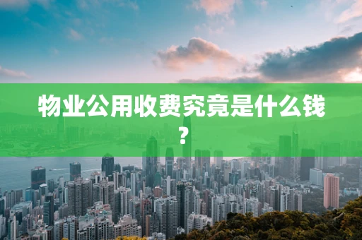 物业公用收费究竟是什么钱？