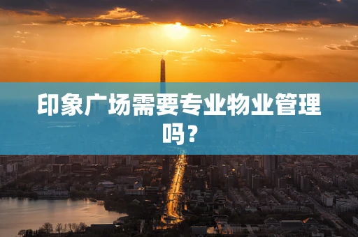 印象广场需要专业物业管理吗？