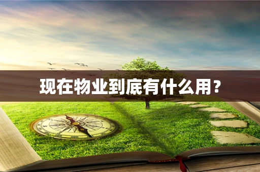现在物业到底有什么用？