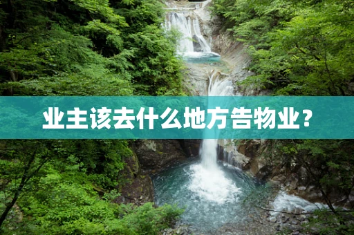 业主该去什么地方告物业？