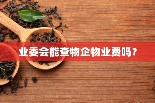 业委会能查物企物业费吗？
