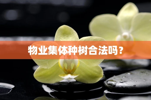 物业集体种树合法吗？