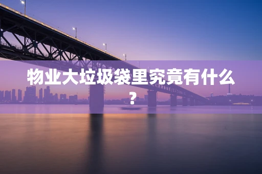 物业大垃圾袋里究竟有什么？