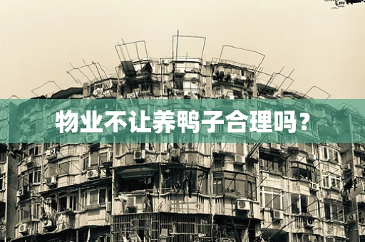 物业不让养鸭子合理吗？