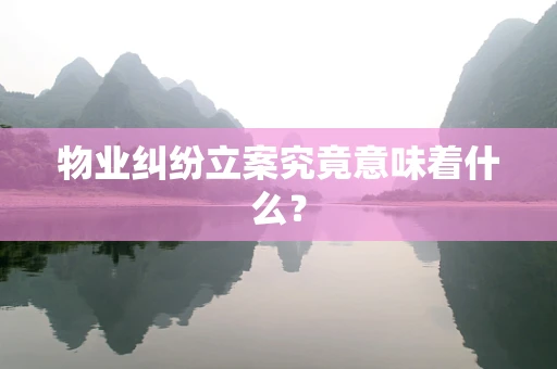 物业纠纷立案究竟意味着什么？