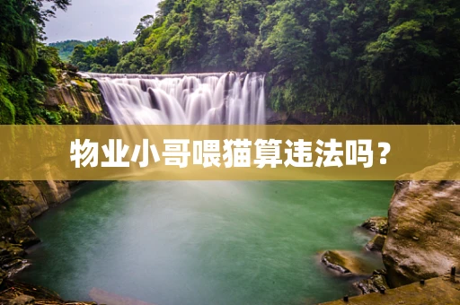 物业小哥喂猫算违法吗？