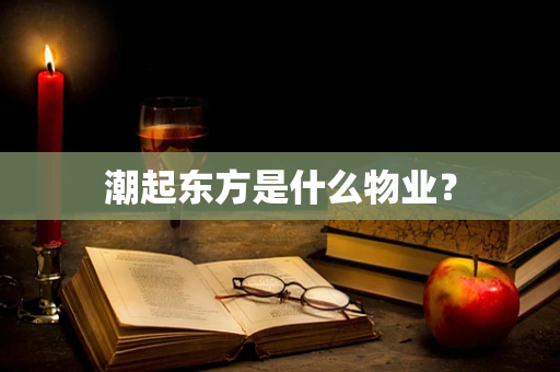 潮起东方是什么物业？