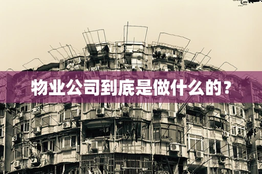 物业公司到底是做什么的？