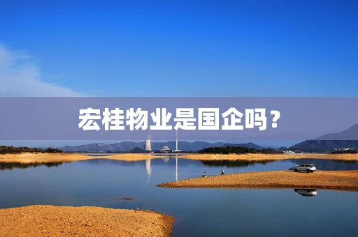 宏桂物业是国企吗？