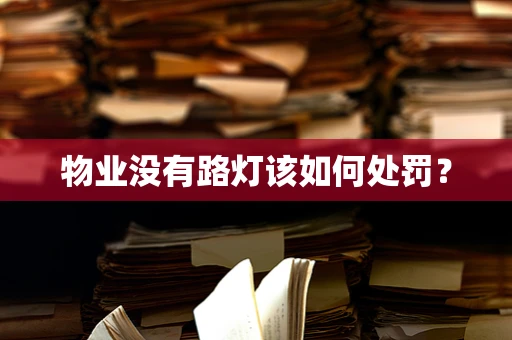 物业没有路灯该如何处罚？