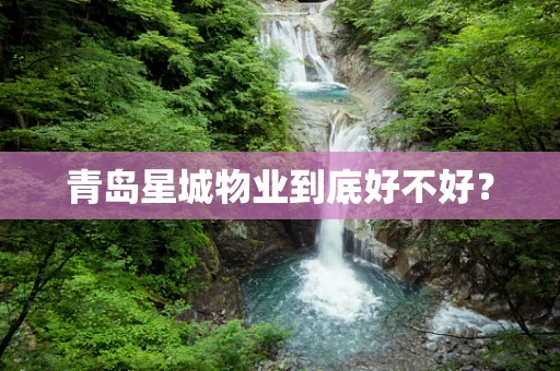 青岛星城物业到底好不好？