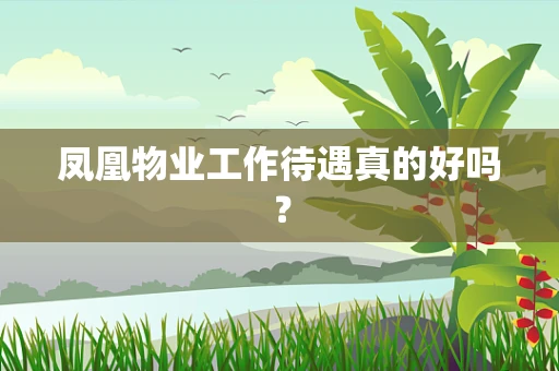 凤凰物业工作待遇真的好吗？