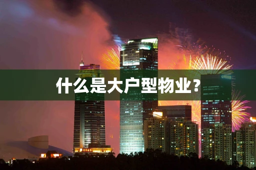 什么是大户型物业？