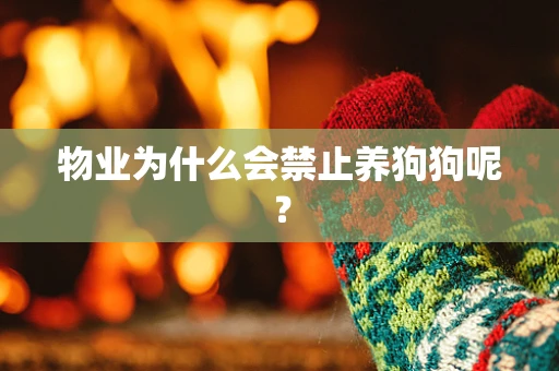 物业为什么会禁止养狗狗呢？