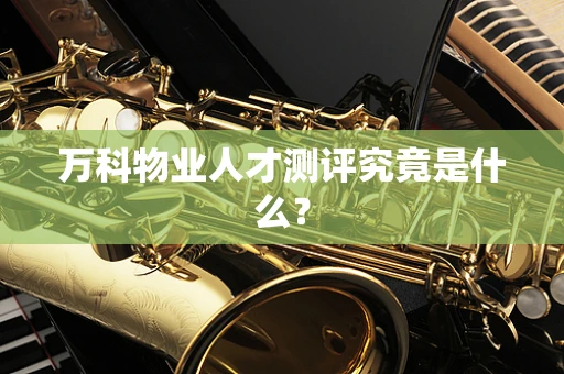 万科物业人才测评究竟是什么？