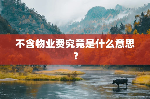 不含物业费究竟是什么意思？