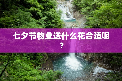 七夕节物业送什么花合适呢？