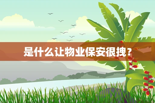 是什么让物业保安很拽？