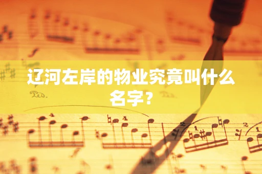 辽河左岸的物业究竟叫什么名字？