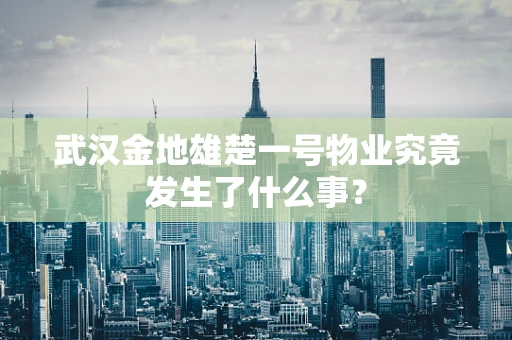 武汉金地雄楚一号物业究竟发生了什么事？