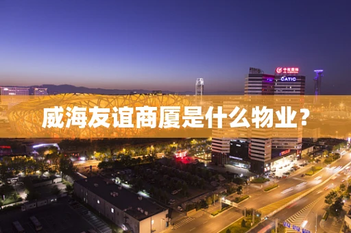 威海友谊商厦是什么物业？