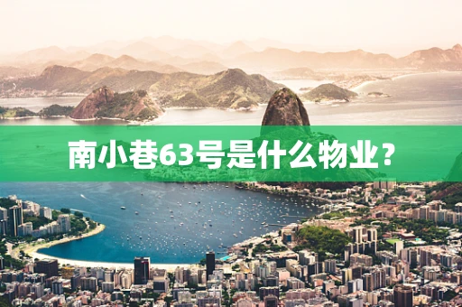 南小巷63号是什么物业？