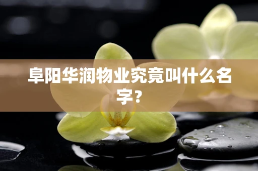 阜阳华润物业究竟叫什么名字？