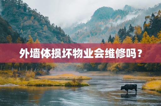 外墙体损坏物业会维修吗？
