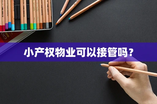 小产权物业可以接管吗？
