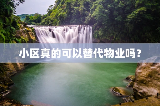 小区真的可以替代物业吗？