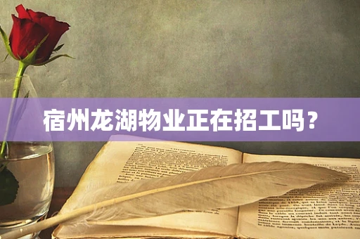 宿州龙湖物业正在招工吗？