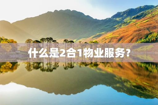 什么是2合1物业服务？