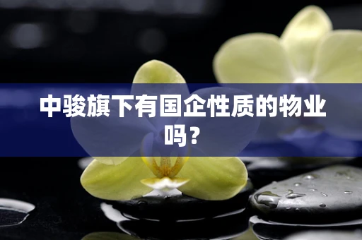 中骏旗下有国企性质的物业吗？