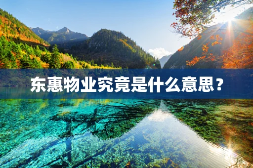 东惠物业究竟是什么意思？