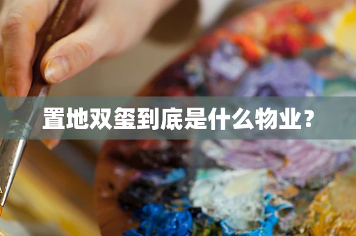 置地双玺到底是什么物业？