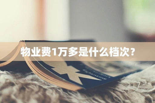 物业费1万多是什么档次？