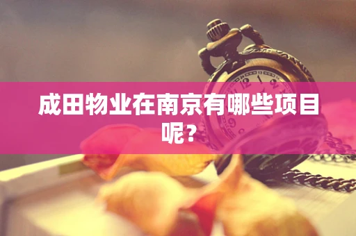 成田物业在南京有哪些项目呢？