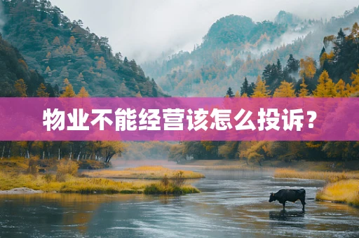物业不能经营该怎么投诉？