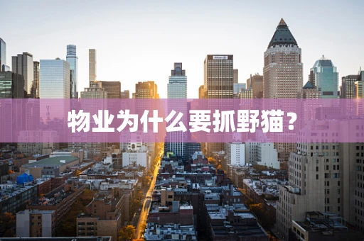 物业为什么要抓野猫？