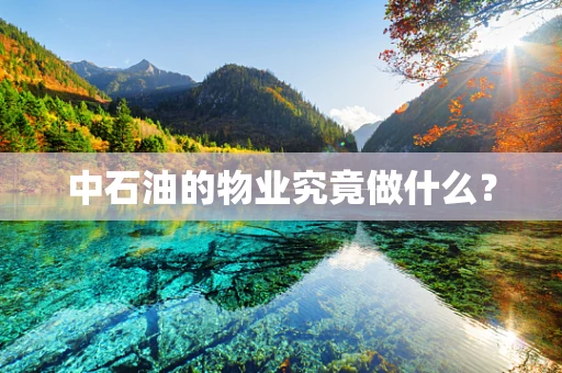 中石油的物业究竟做什么？