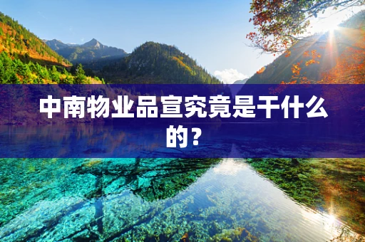 中南物业品宣究竟是干什么的？