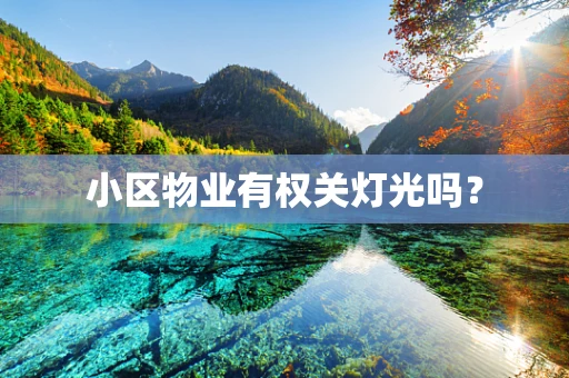 小区物业有权关灯光吗？