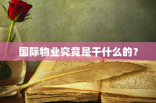国际物业究竟是干什么的？