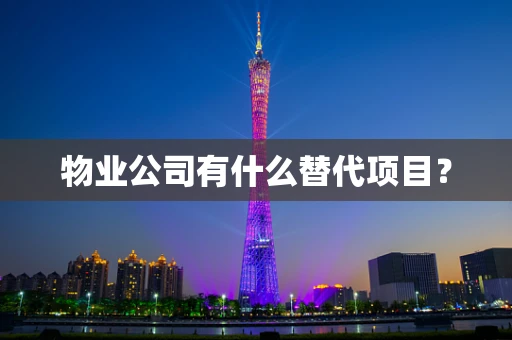 物业公司有什么替代项目？